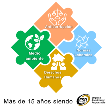 Grupos Interes ESR SIMEX 2026