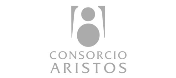 Consorcio Aristos_Cliente_SIMEX (2)